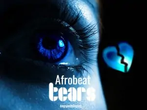 Download Freebeat:- Tears Afrobeat Type (Prod By Kingzy)