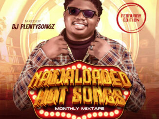 DJ PlentySongz – Naijaloaded Hot Songs Monthly Mix (Feb 2024)